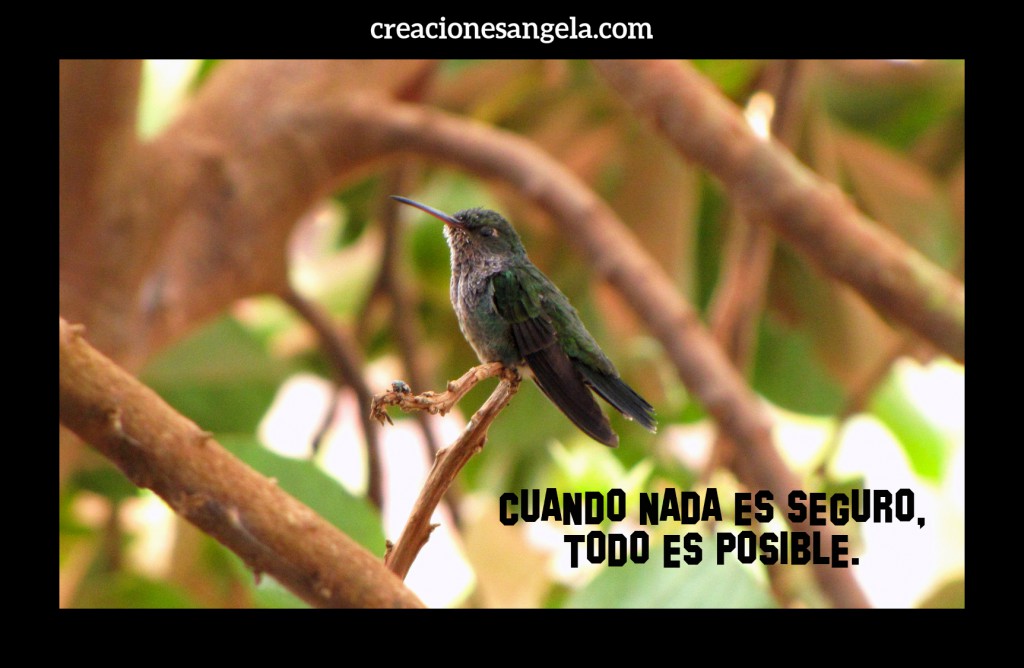 COLIBRI